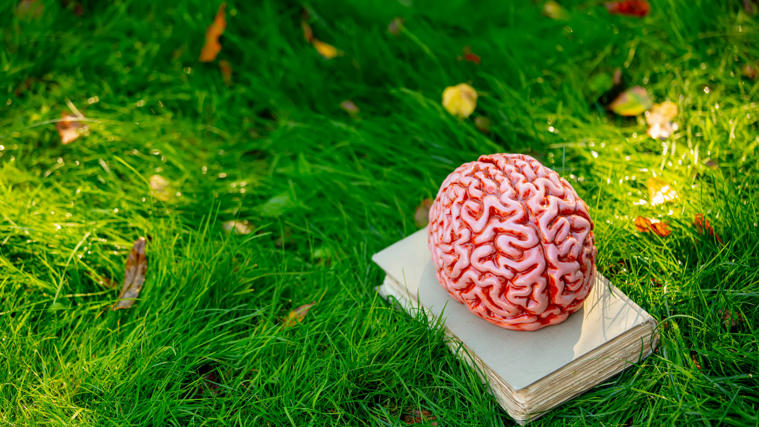 Methylene Blue Cognitive Enhancement