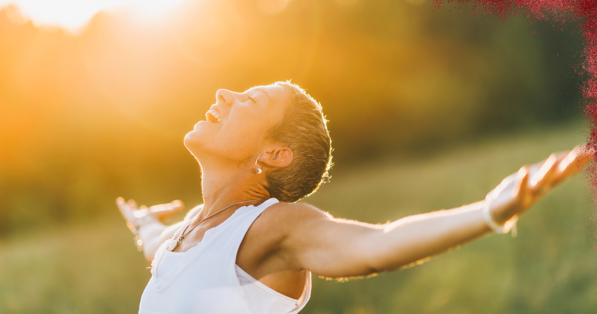 Urolithin A for energy and longevity: how does it work?