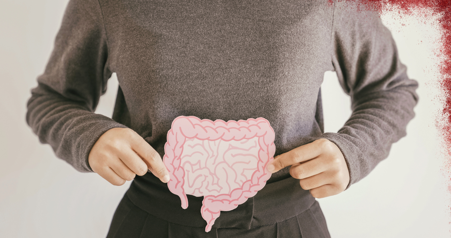 Urolithin A vs Urolithin B: what is the real difference?