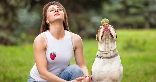 ESS60 for Pets: Exploring Its Potential for Animal Wellness
