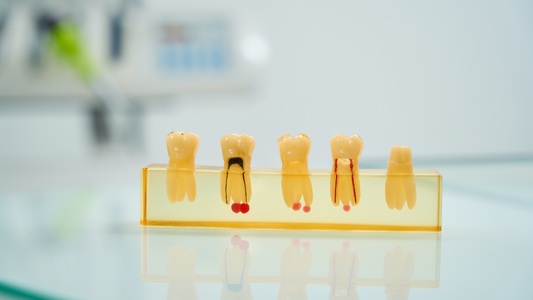 Does Red Light Therapy Help Periodontal Disease?
