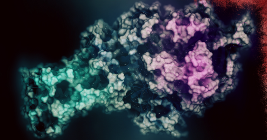 Is Urolithin A the same as NAD+, or a different pathway?