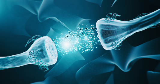 Can Urolithin A support mitochondria in neurons and glia?