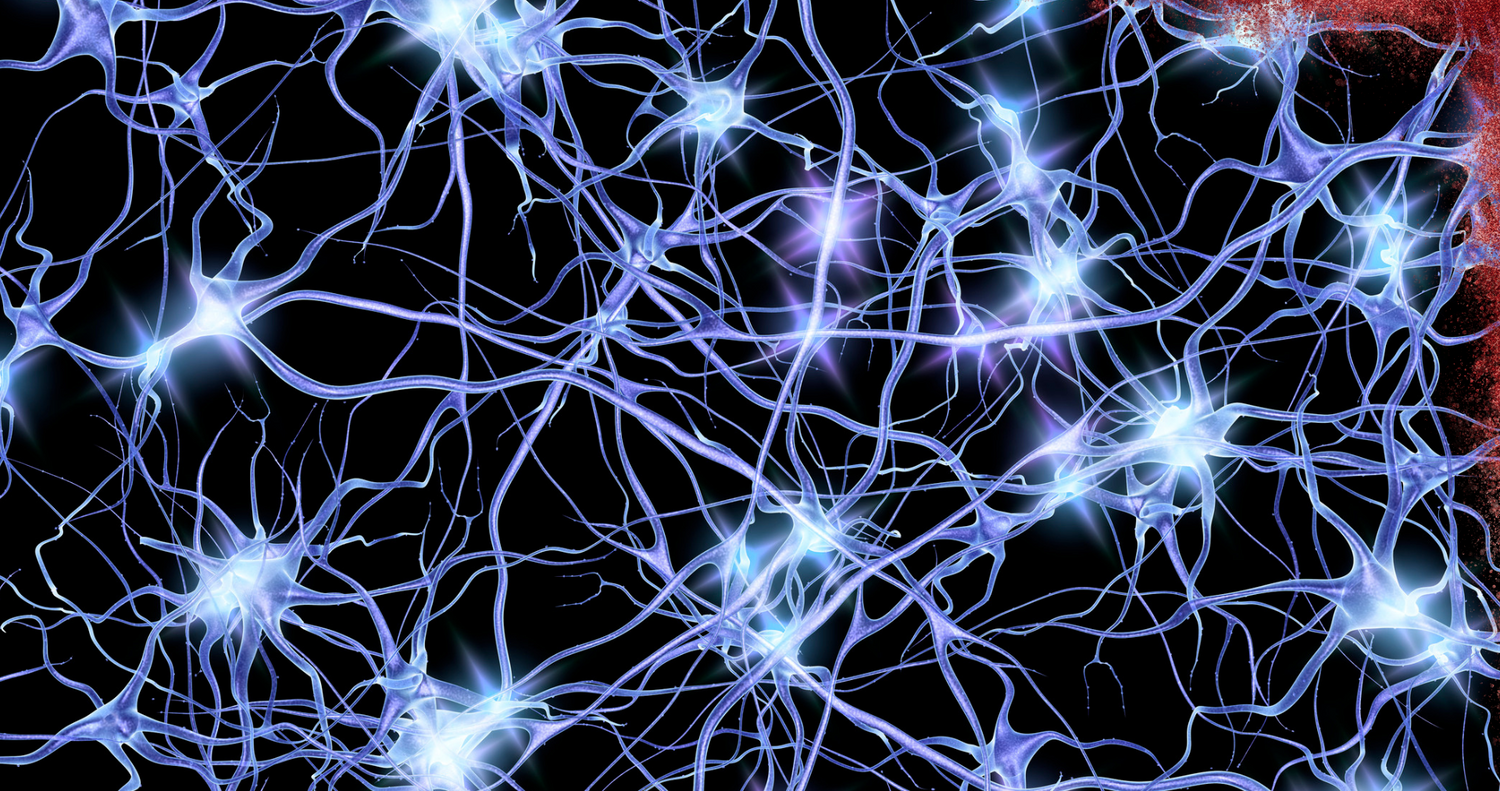 Does Urolithin A help focus, mood, or mental energy?