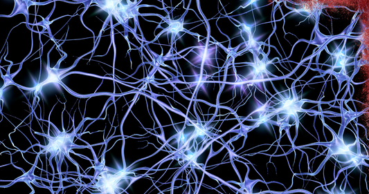 Does Urolithin A help focus, mood, or mental energy?