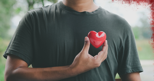 How might Urolithin A influence mitochondria in the heart?