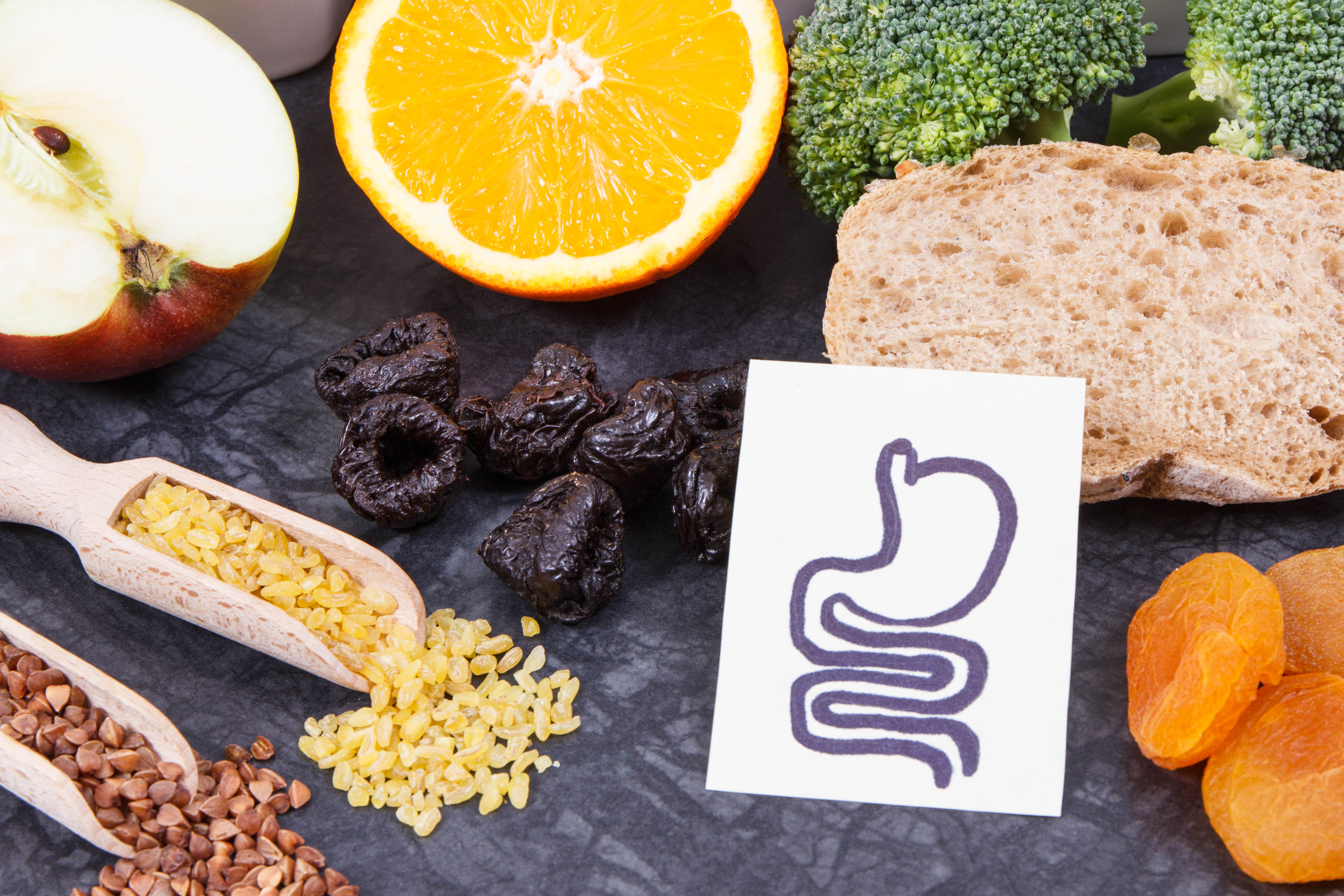 Gut & Metabolism